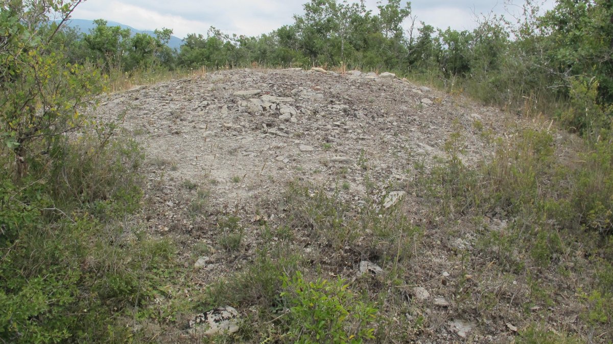 Larras II tumulua 6, Zigoitia