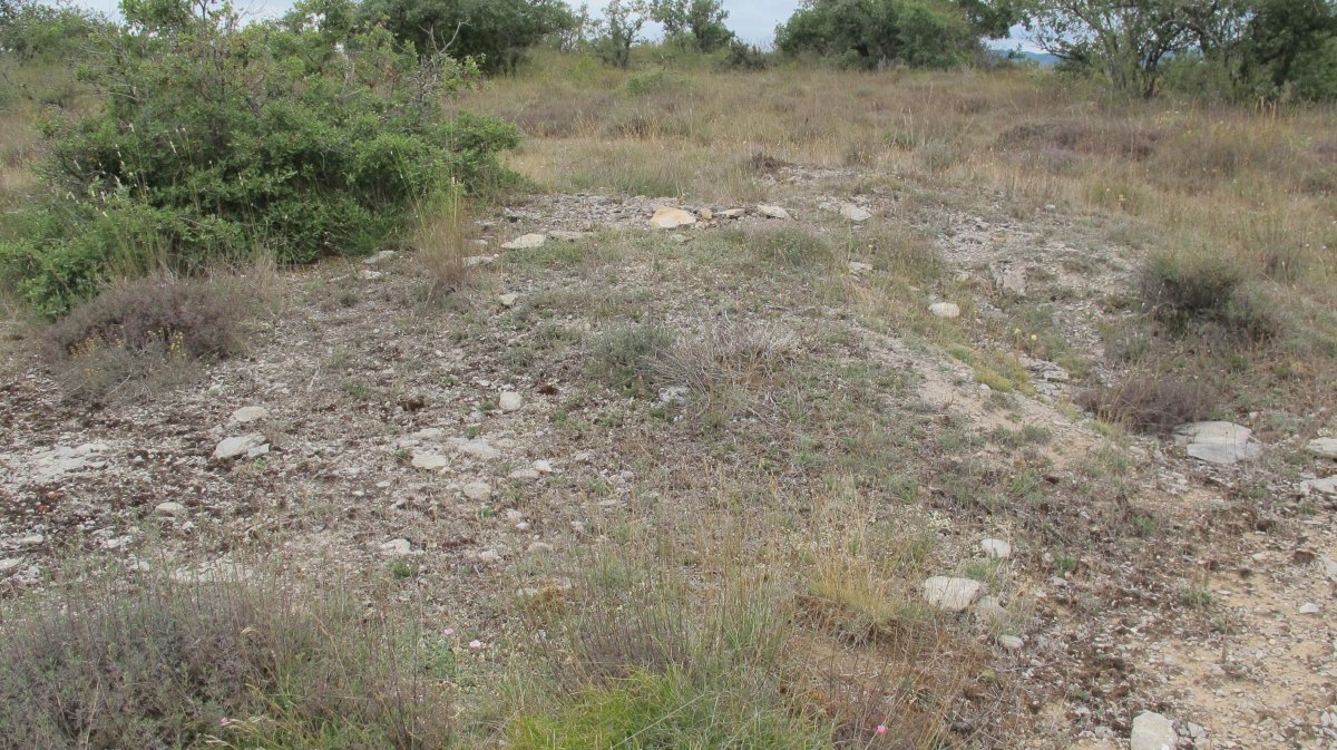 Larras II tumulua 5, Zigoitia