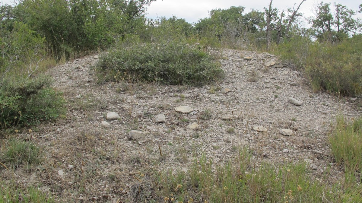 Larras II tumulua 3, Zigoitia