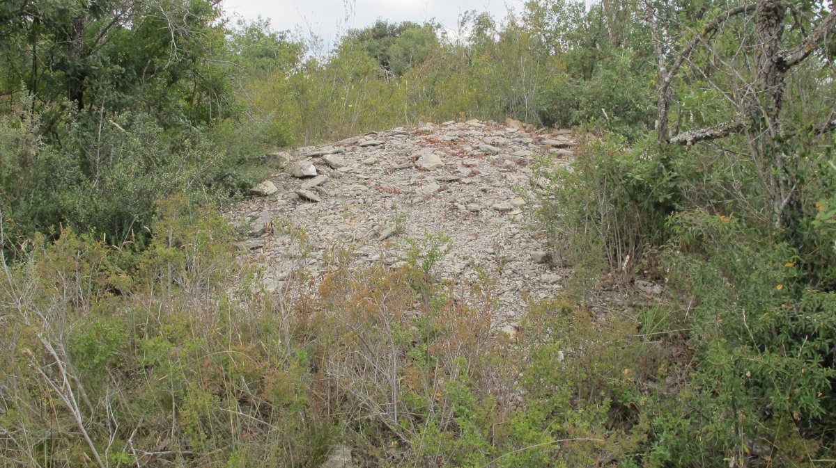 Larras II tumulua 2, Zigoitia