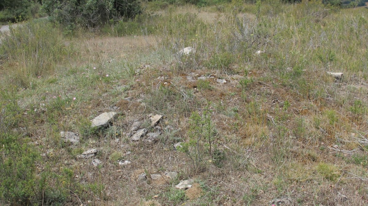 Larras I tumulua 6, Zigoitia