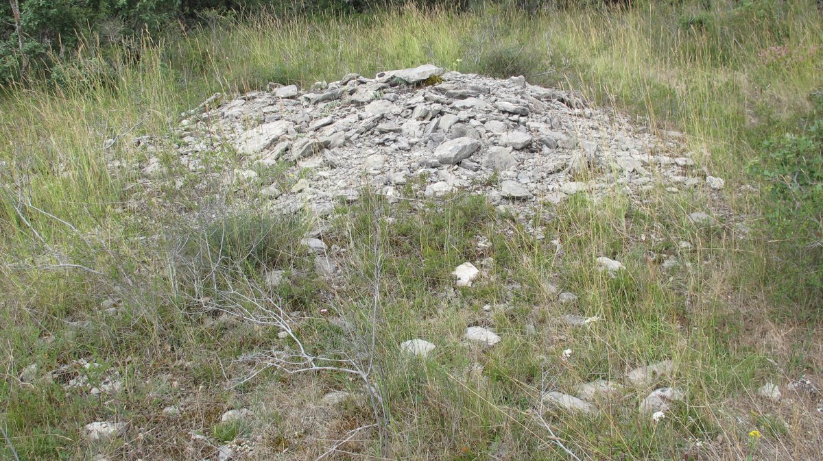 Larras I tumulua 4, Zigoitia