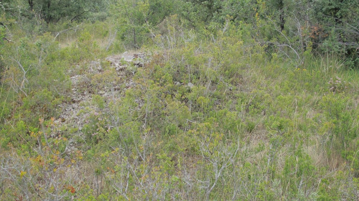 Larras I tumulua 3, Zigoitia