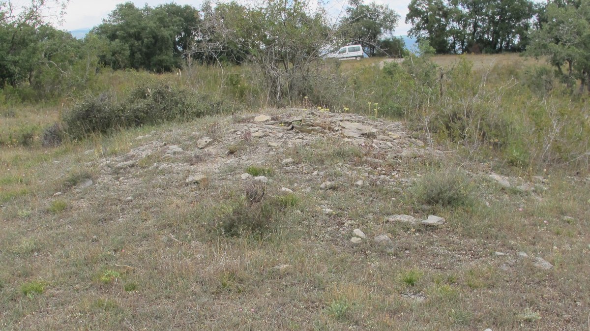 Larras I tumulua 2, Zigoitia