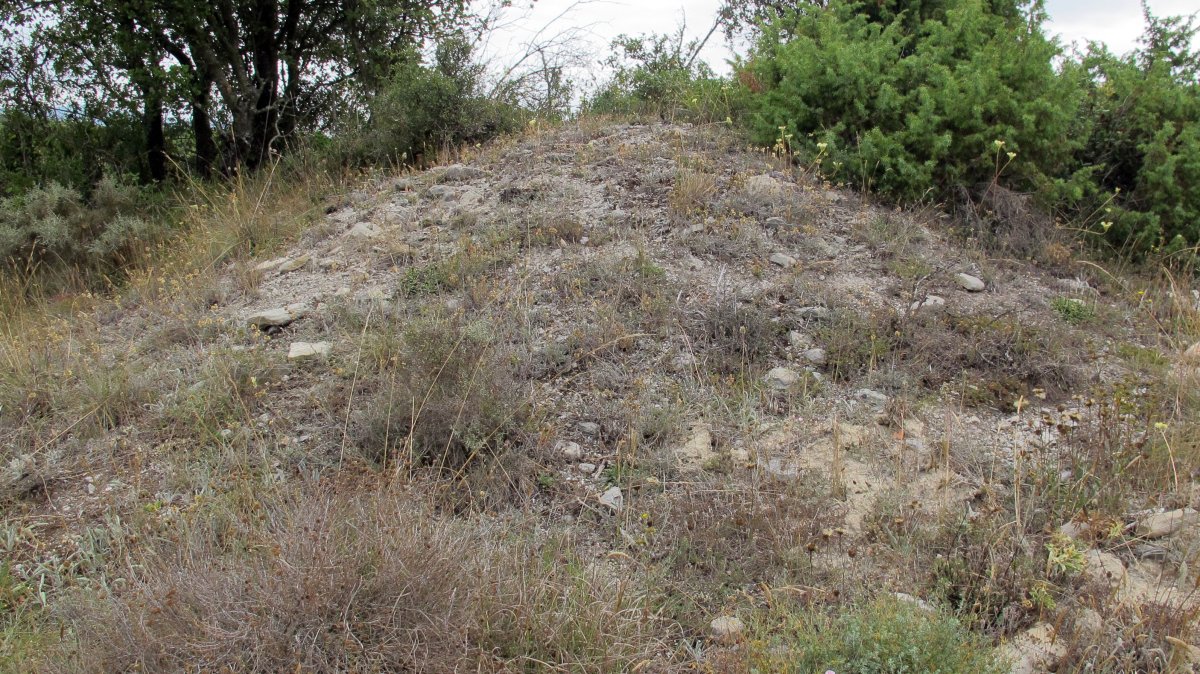 Güenda tumulua 24, Zigoitia