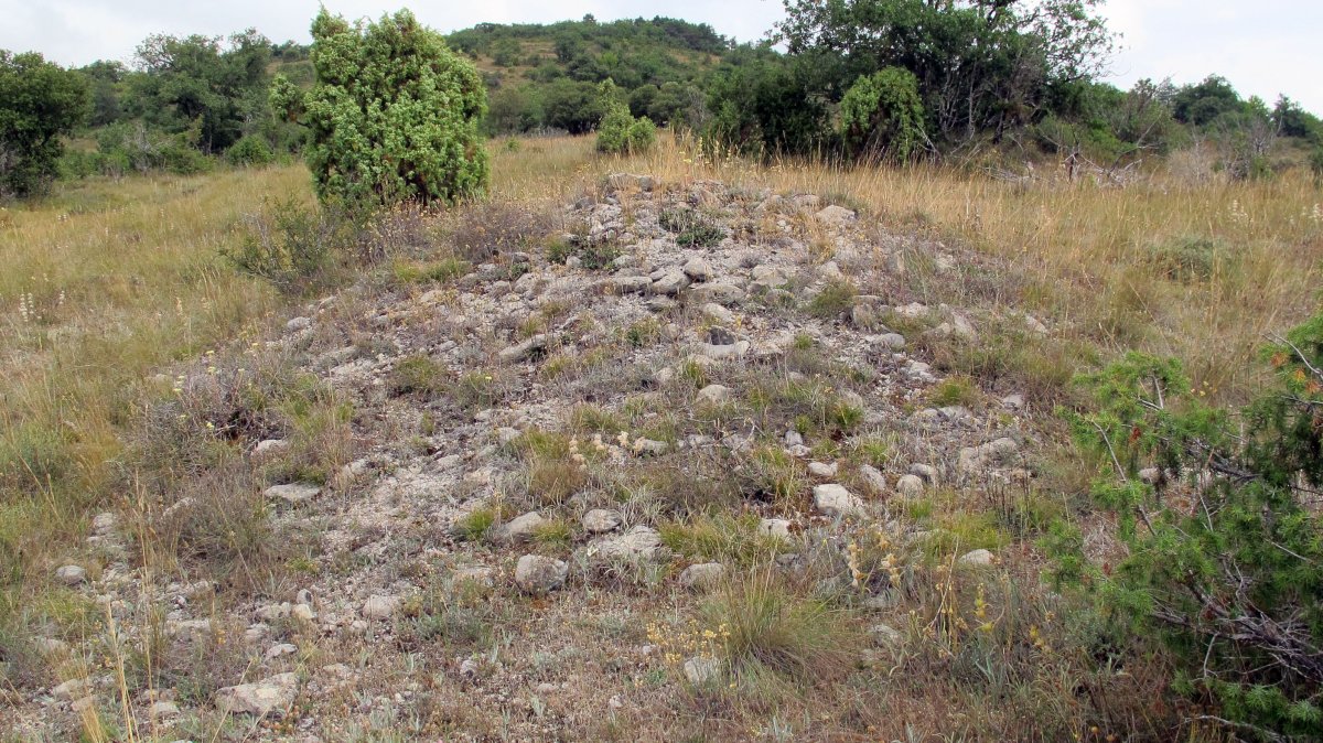 Güenda tumulua 10, Zigoitia