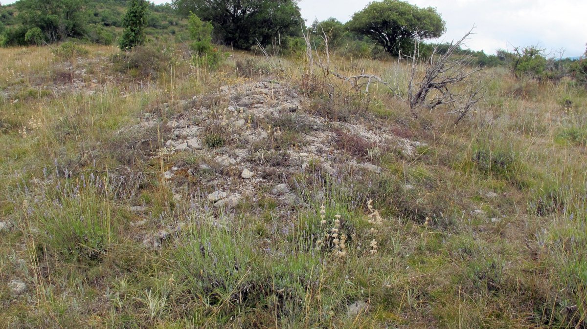 Güenda tumulua 6, Zigoitia