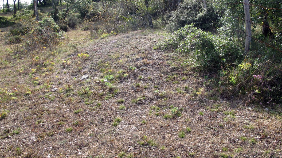 Larras II este tumulua 1, Zigoitia