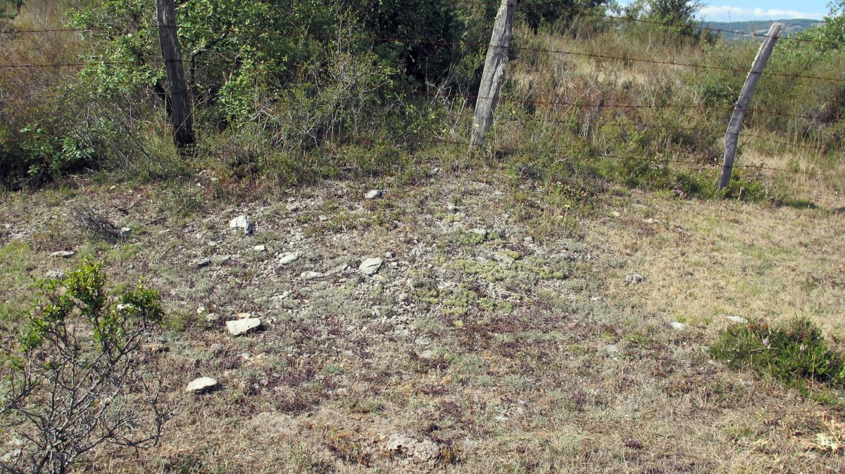 Larras II este tumulua 6, Zigoitia