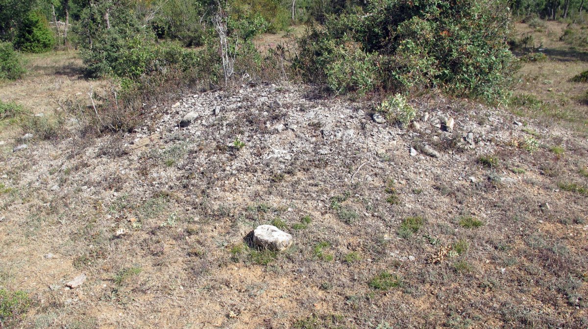 Larras II este tumulua 19, Zigoitia