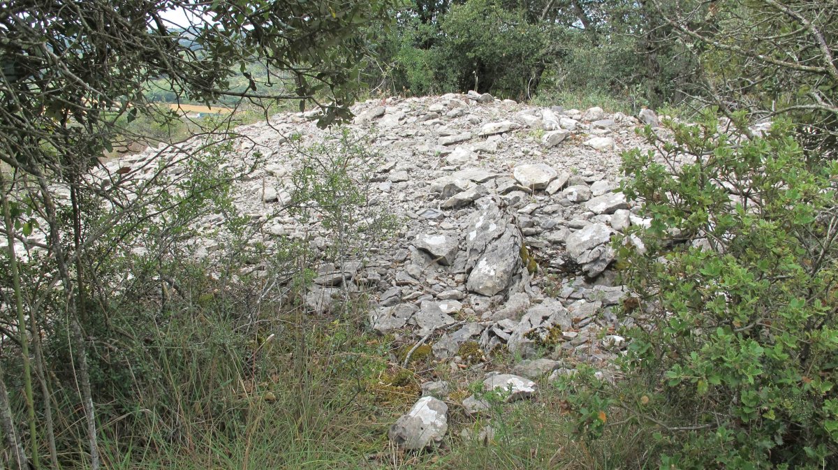 Larras II tumulua 21, Zigoitia