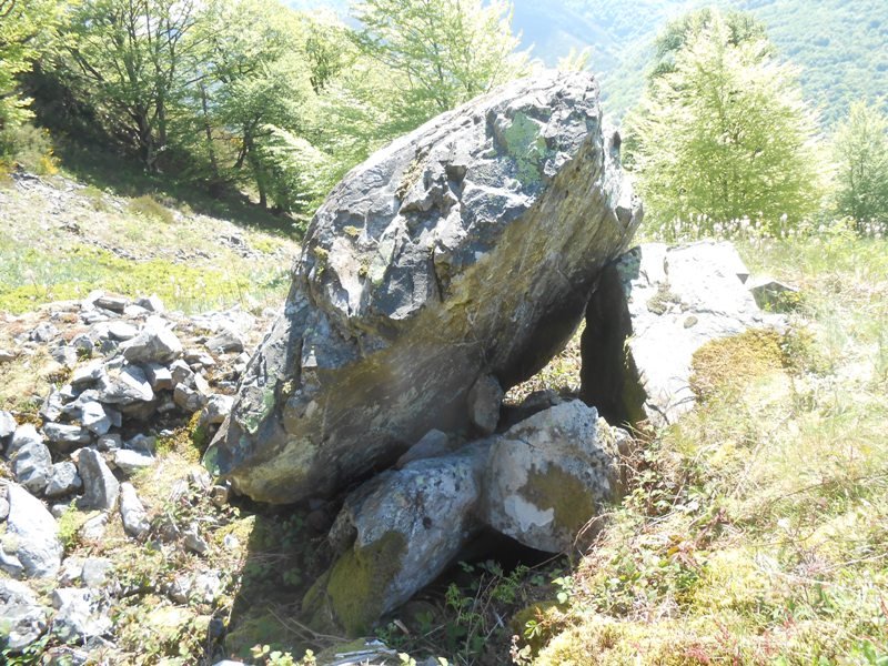 epersaro trikuharria