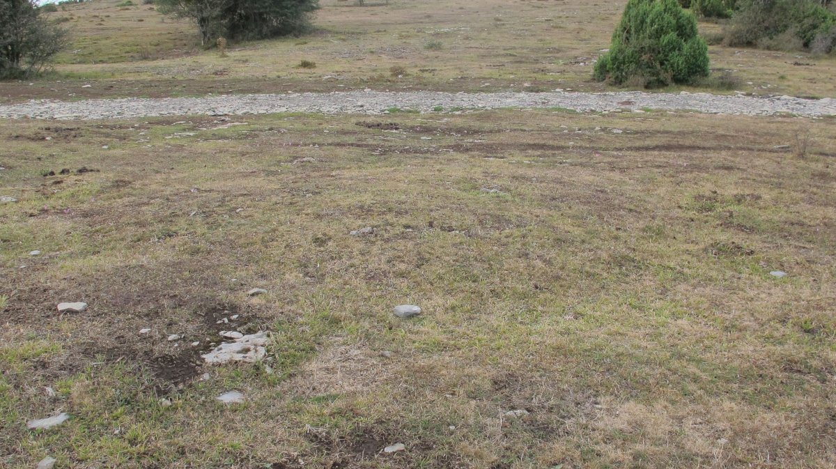 Peña Eskolunbe tumulu 1, Badaia mendikatea