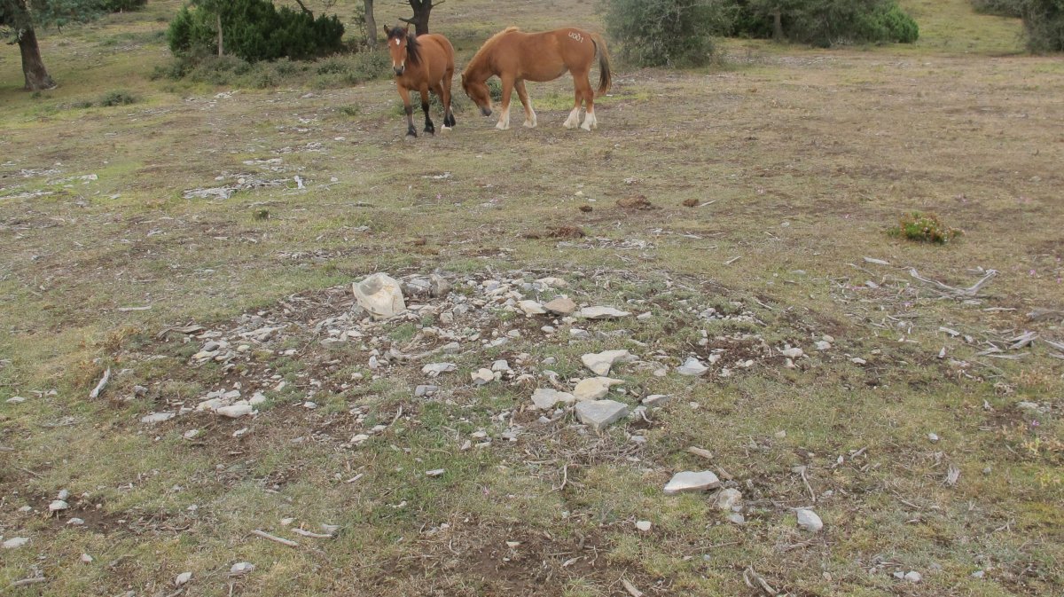 Peña Eskolunbe tumulu 4, Badaia mendikatea