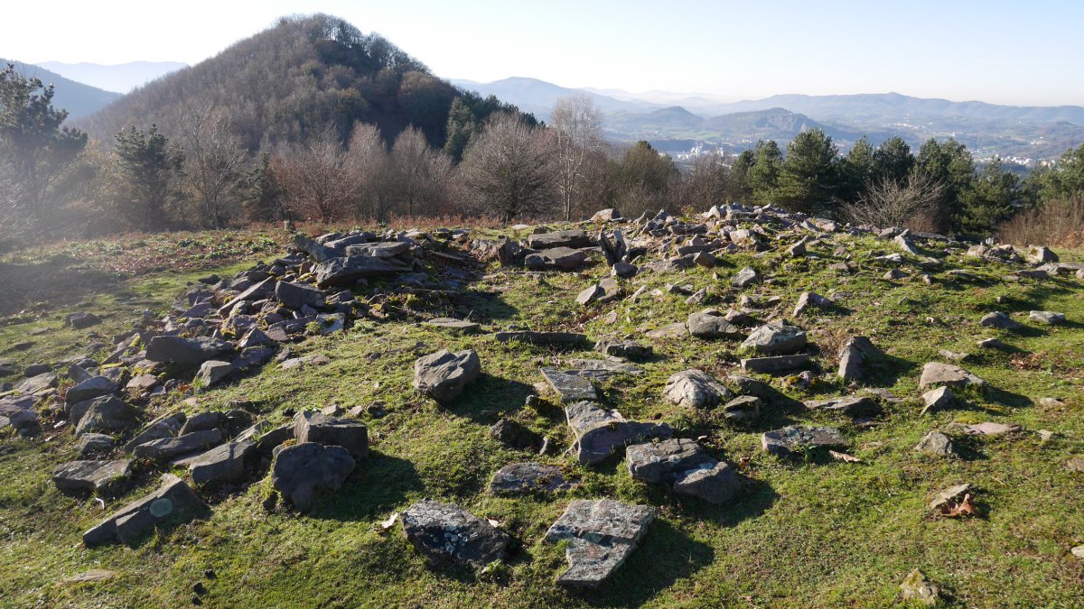 Arritxieta trikuharria