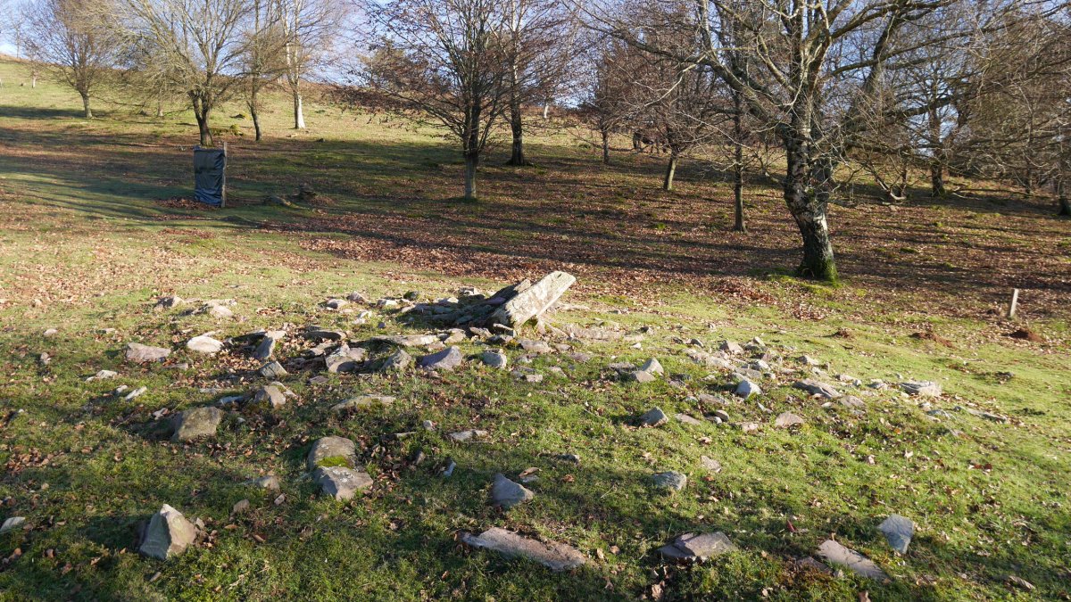 Akolako lepoa 2 trikuharria