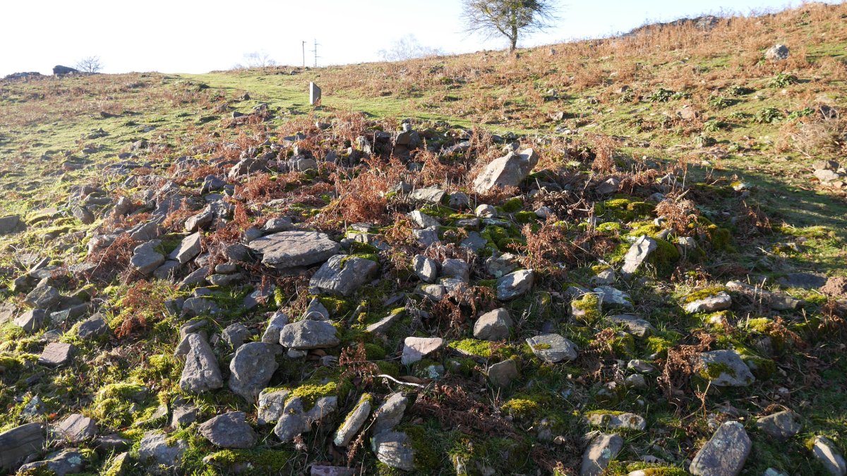 Sagastietako Lepoa 2 trikuharria