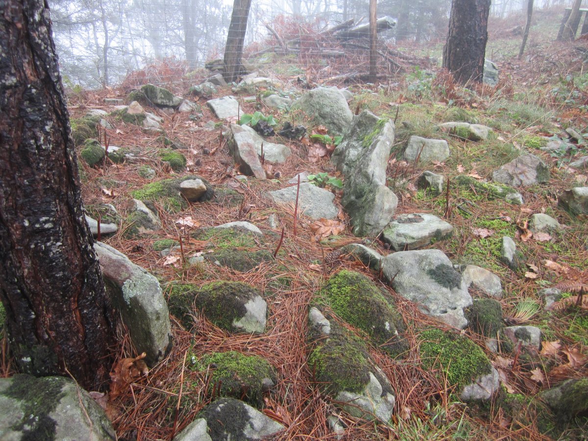 Dólmen Amutxanda   (Diciembre  2014)