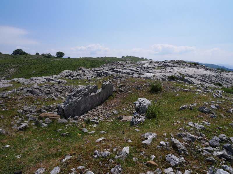 Errekatxuetako atxa trikuharria