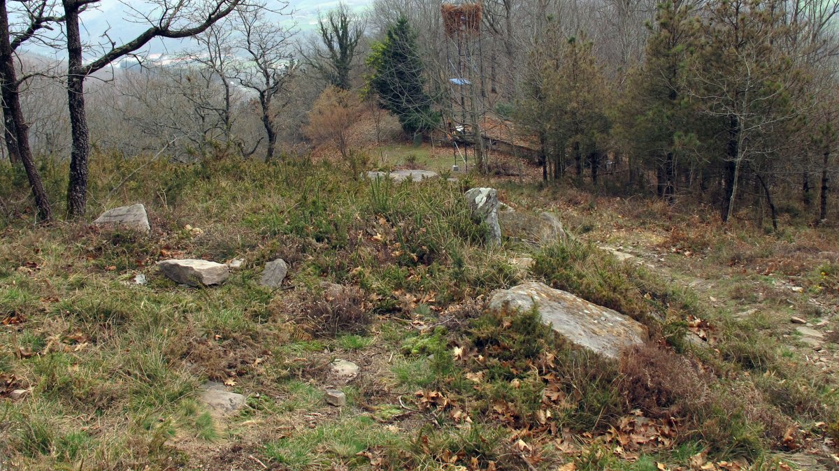 Askin trikuharria, Doneztebe