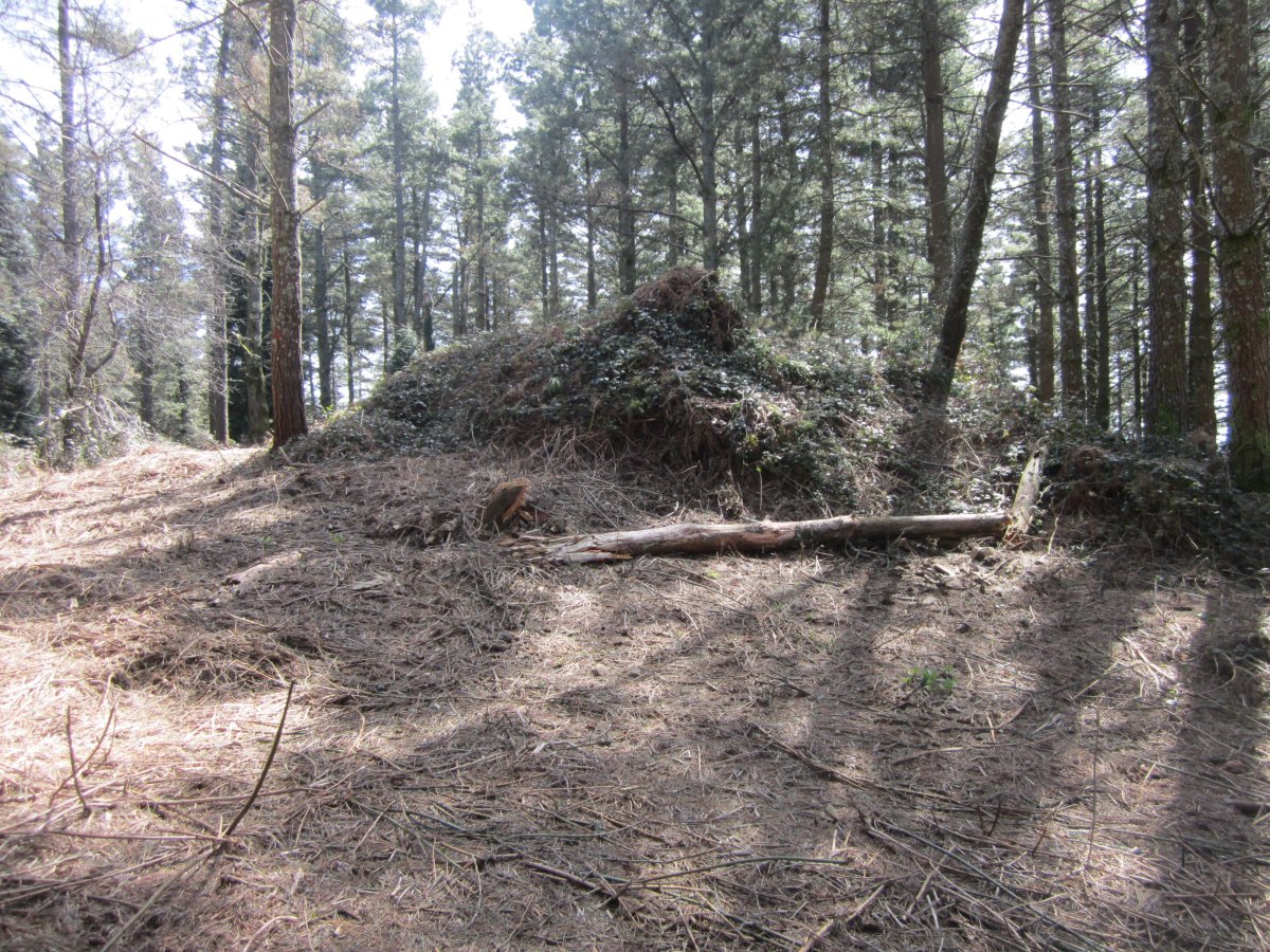 Túmulo Kalamua  (Abril  2015)