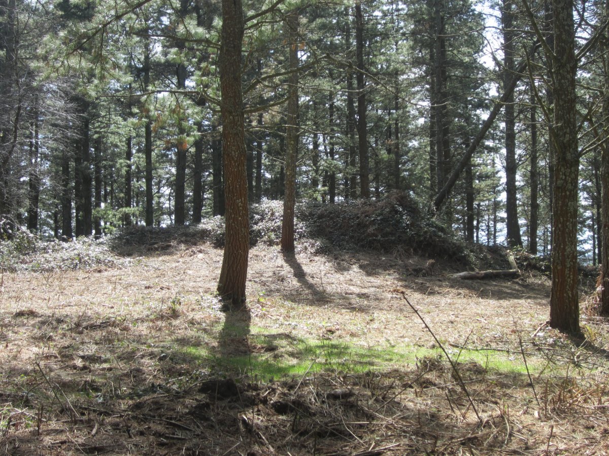 Túmulo Kalamua  (Abril  2015)