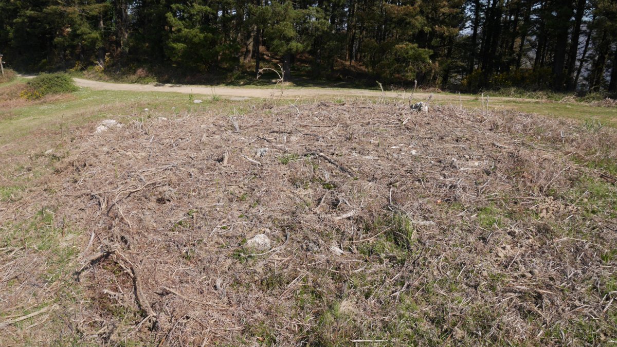 Harrespila, makinak azpian ibili ondoren