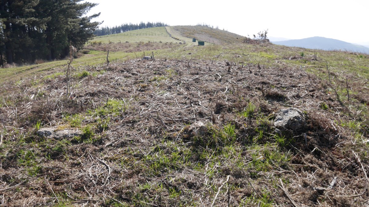 Harrespila, makinak azpian ibili ondoren