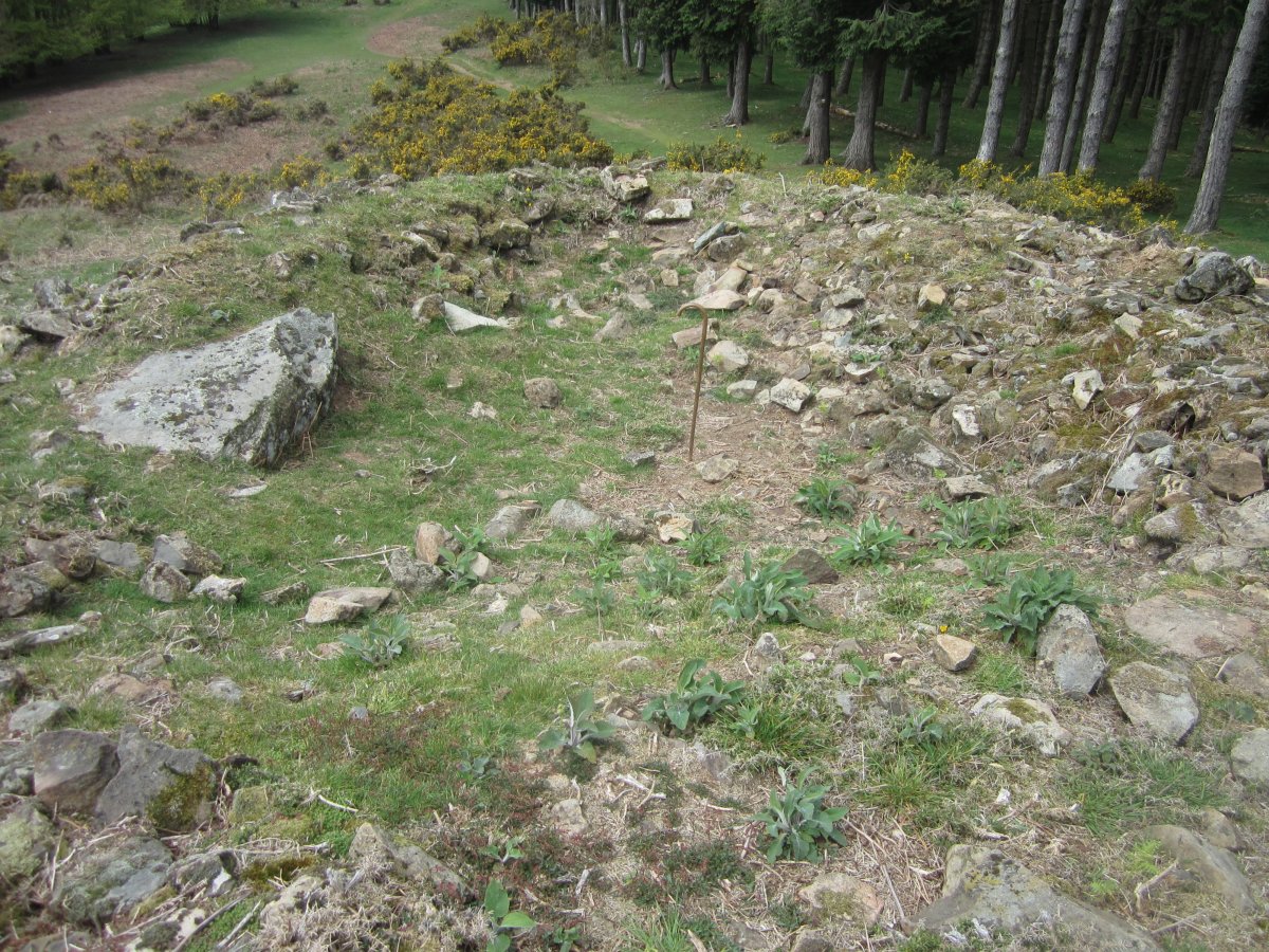 Dólmen Irukurutzeta (Abril 2015)