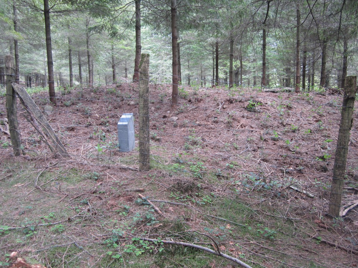 Túmulo Keixeta (Abril 2015)