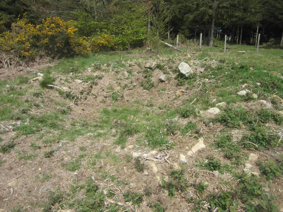 Túmulo Keixeyako Egiya Ipar   (Abril  2015)