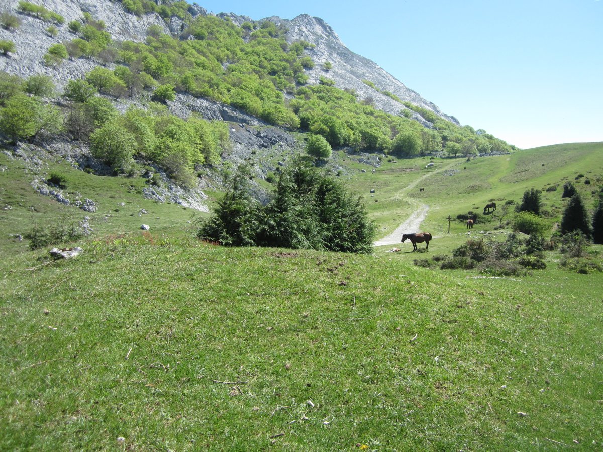 Dólmen Pagazabal 2 Mendebal   (Mayo  2015)