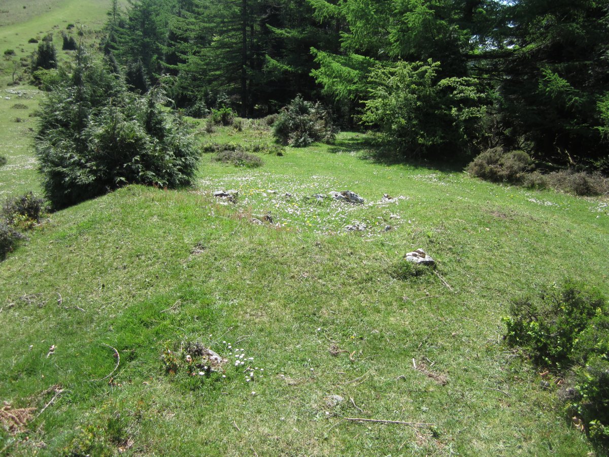 Dólmen Pagazabal 2 Mendebal   (Mayo  2015)