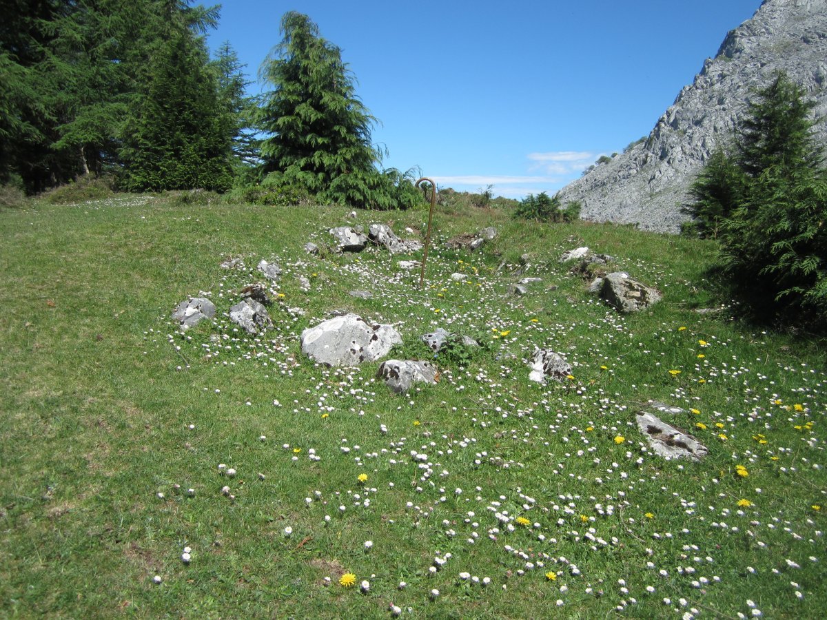 Dólmen Pagazabal 2 Mendebal   (Mayo  2015)