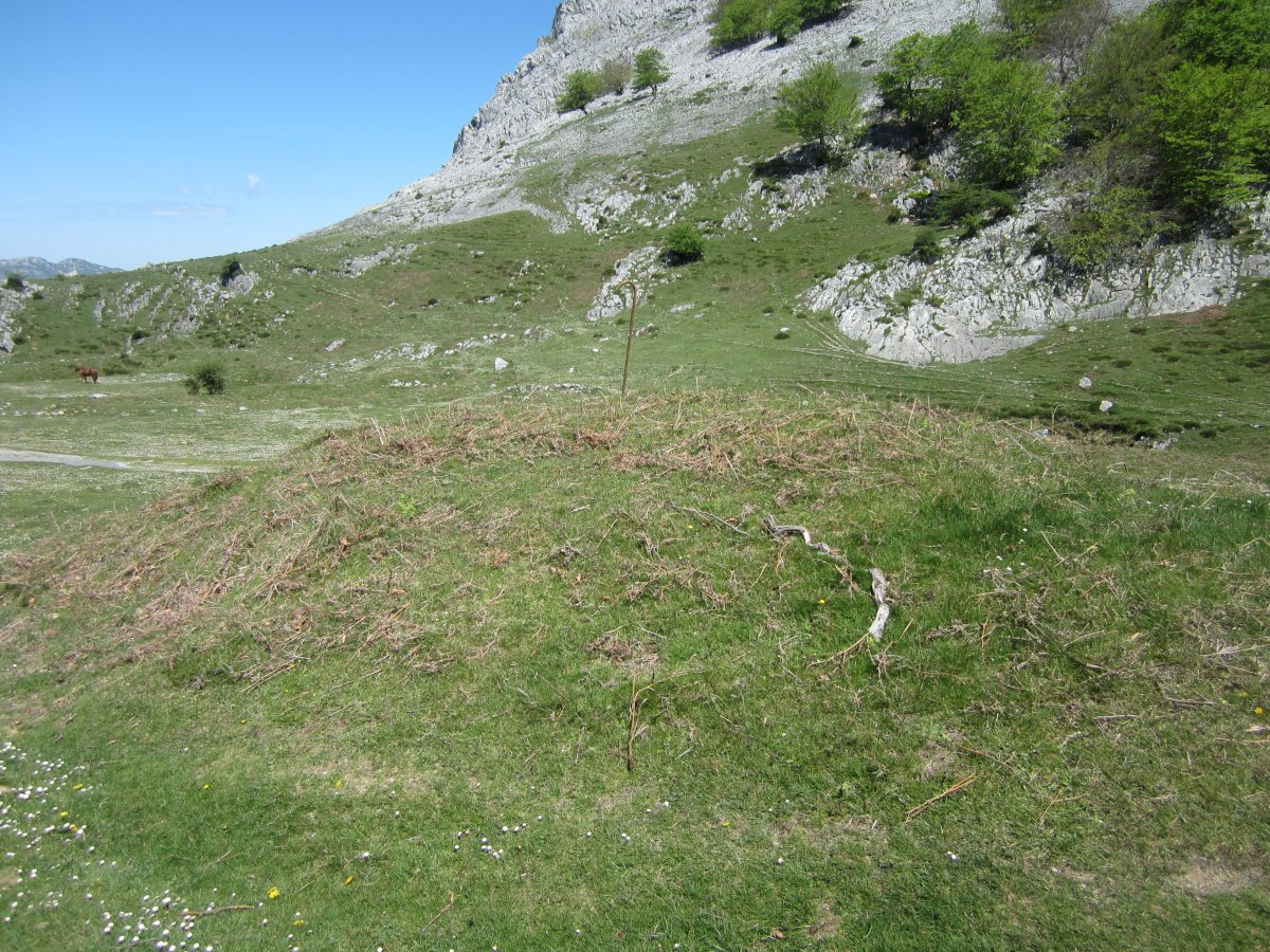 Túmulo Anbotopeko  (Mayo  2015)