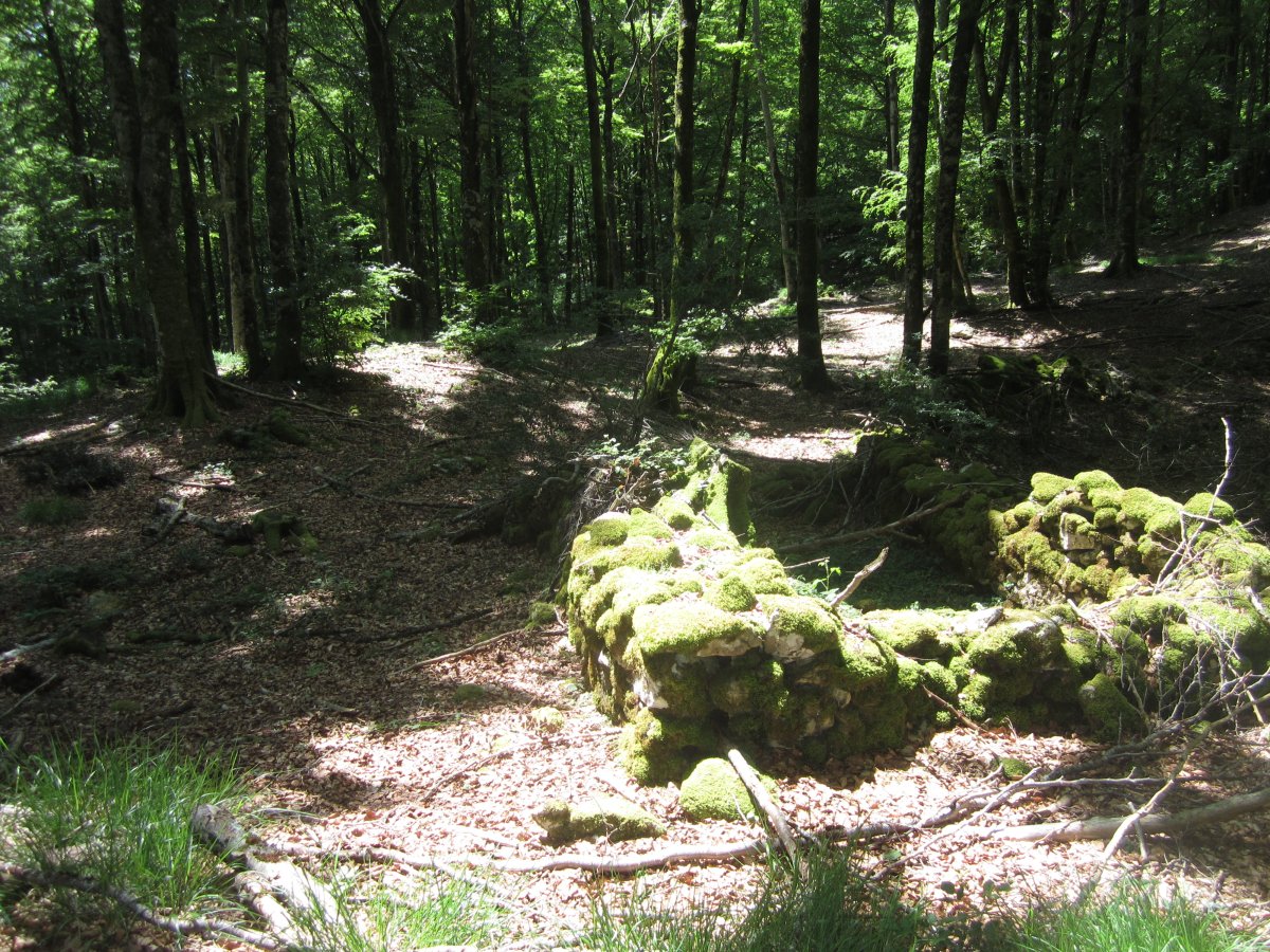 Dólmen Urtxabaleta  Izda - Txabola Dcha   (Mayo 2015)