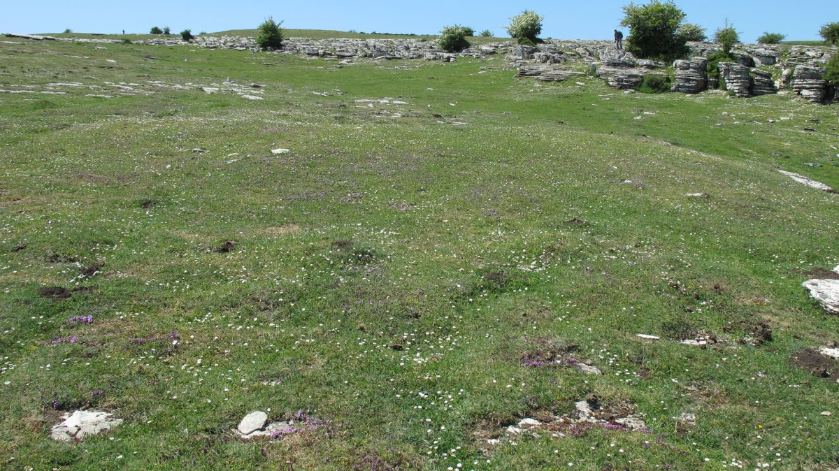 Pokapena 3 etxola hondoa, Andia