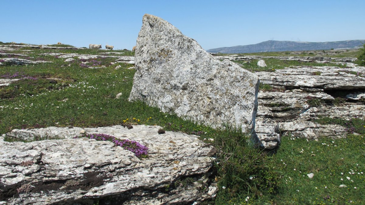 Larrenganbelako Aldapa zutarria, Andia