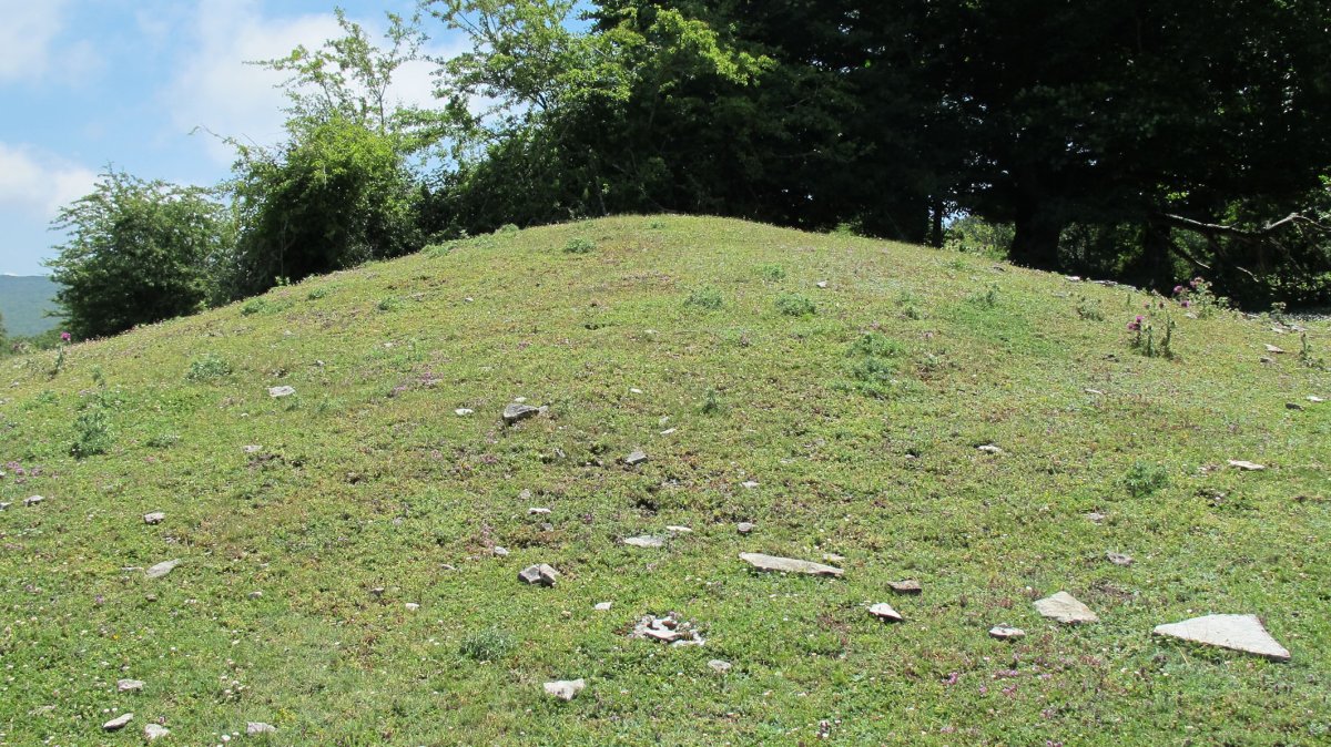 Sima Pamplona etxola hondoa, Andia