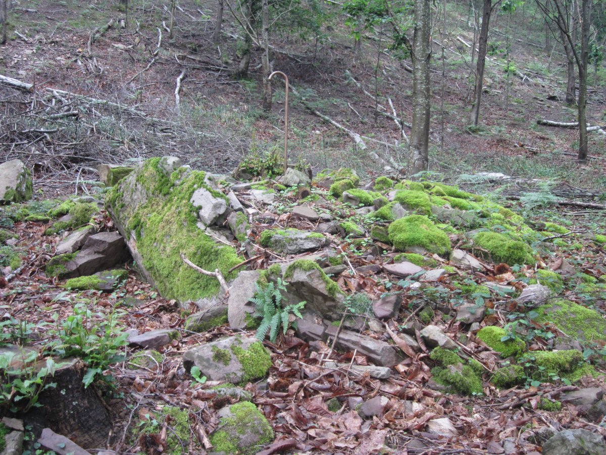 Dólmen Putzuzar (Junio 2015)