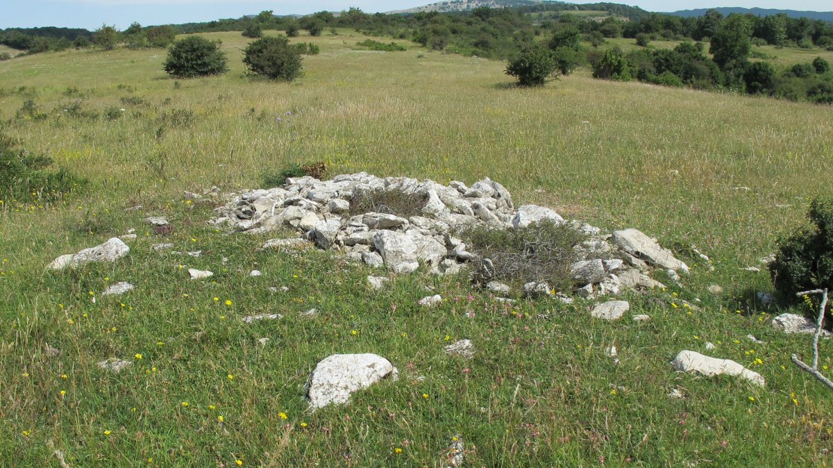 Ostondo 4 tumulua, Munarriz-Goñi