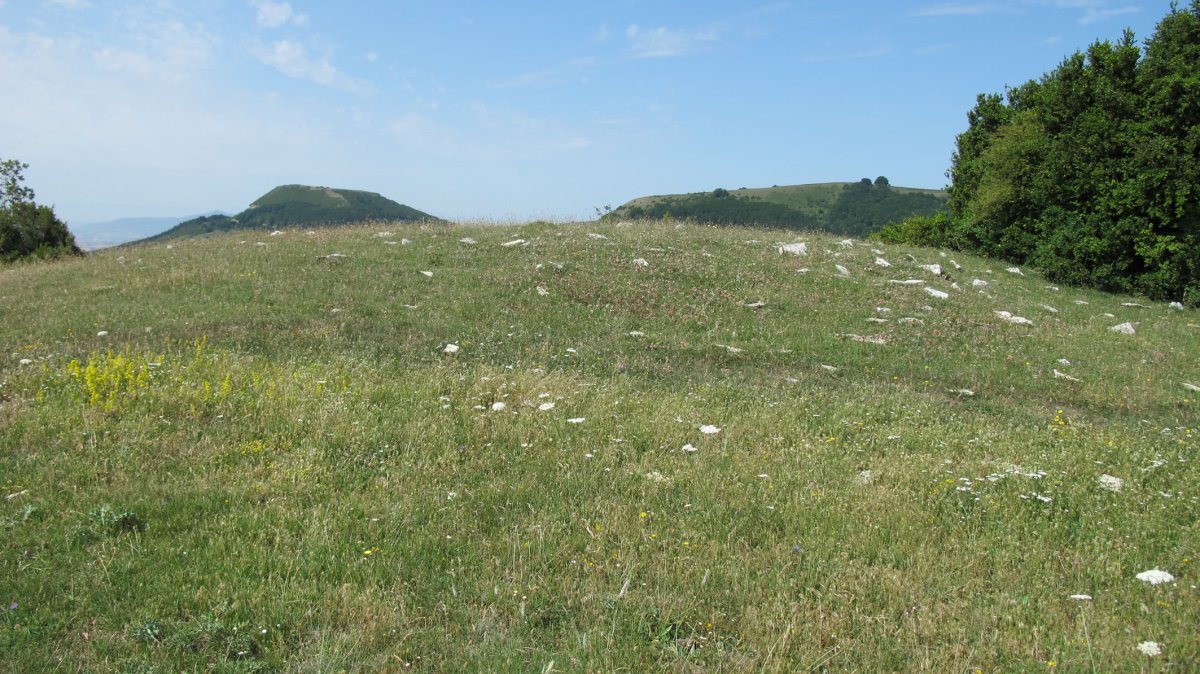 Motxope trikuharria, Munarriz-Goñi