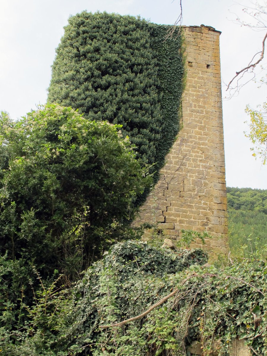 Palacio jauregia, Larrangotz-Longida