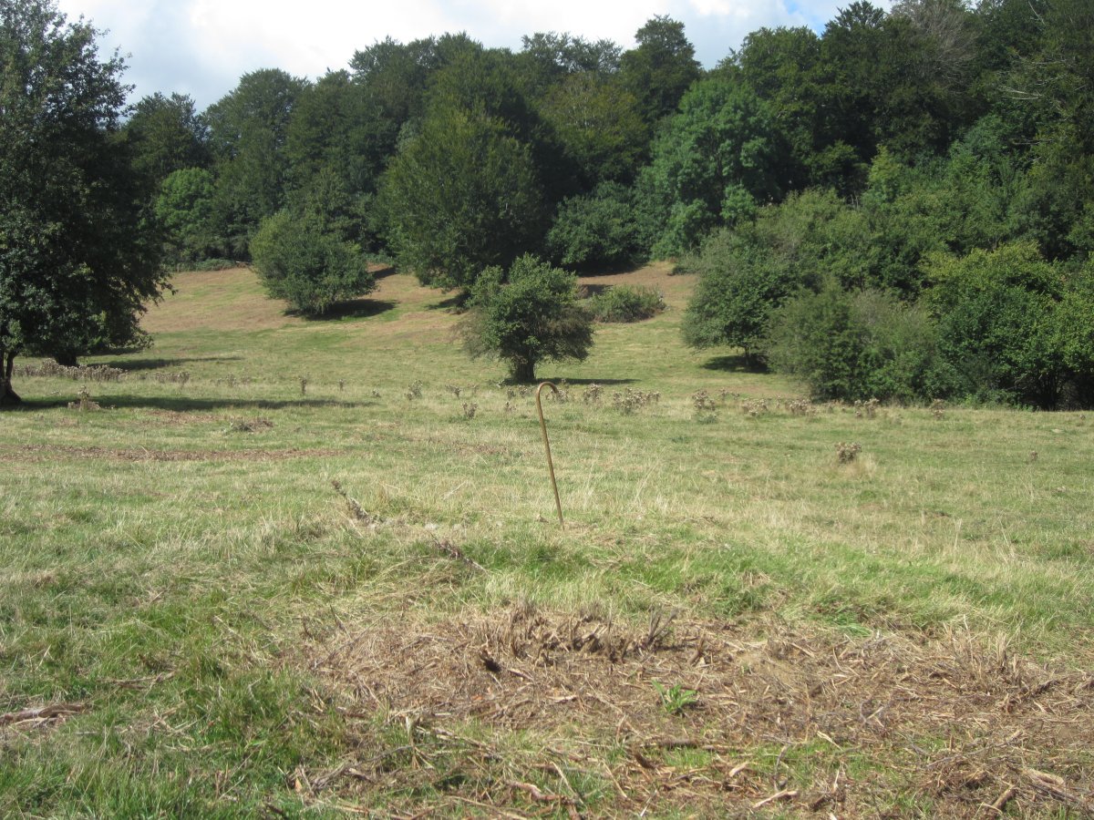 Túmulo Ata 4 (Agosto  2015)