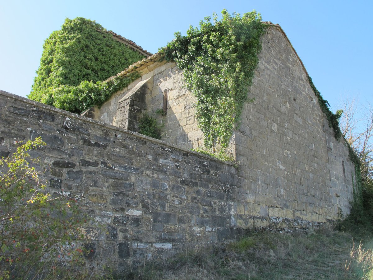 Inmaculada eliza, Ulibeiti-Longida