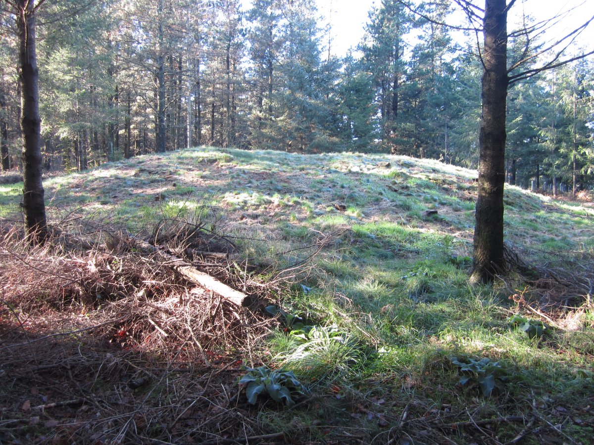 Túmulo Tranpaluarri   (Noviembre 2015)