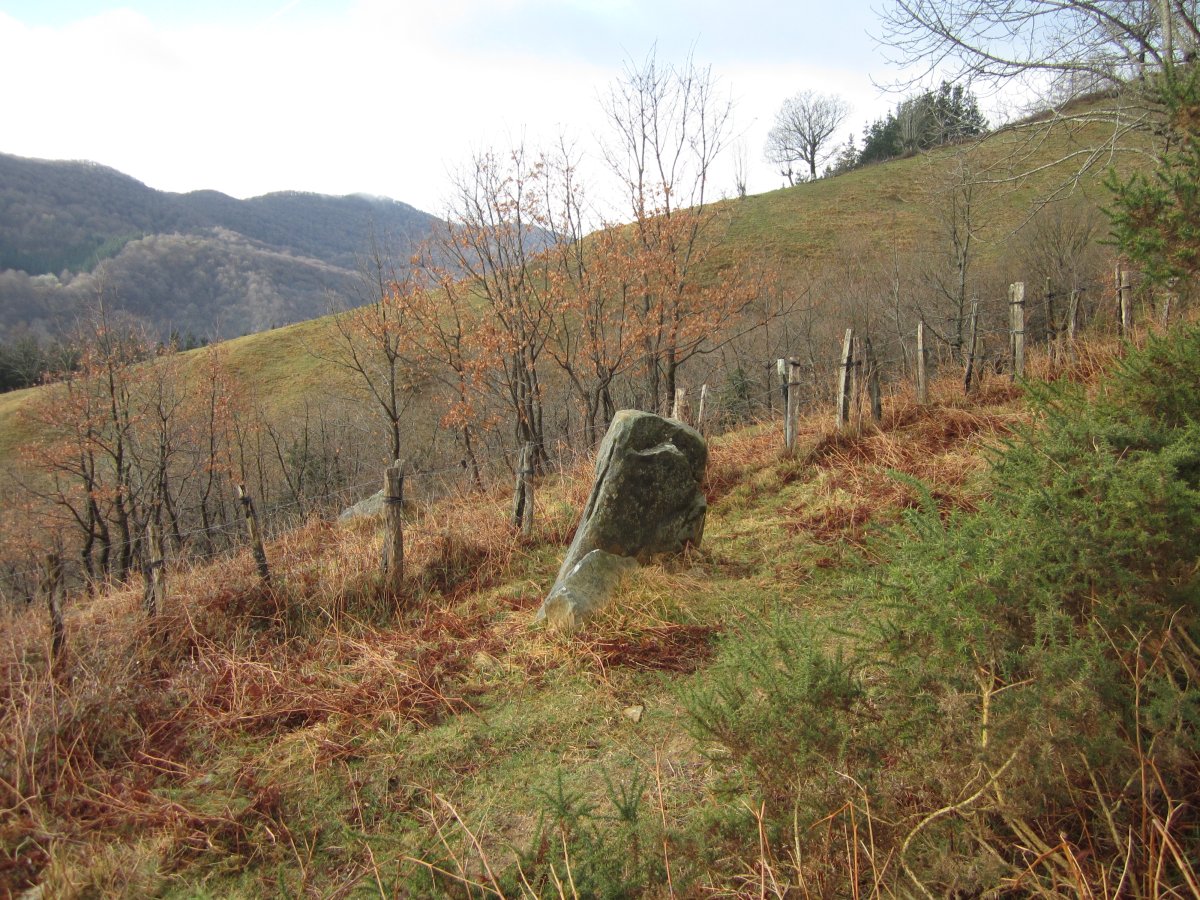 Menhir Belarregi  (Febrero 2016)