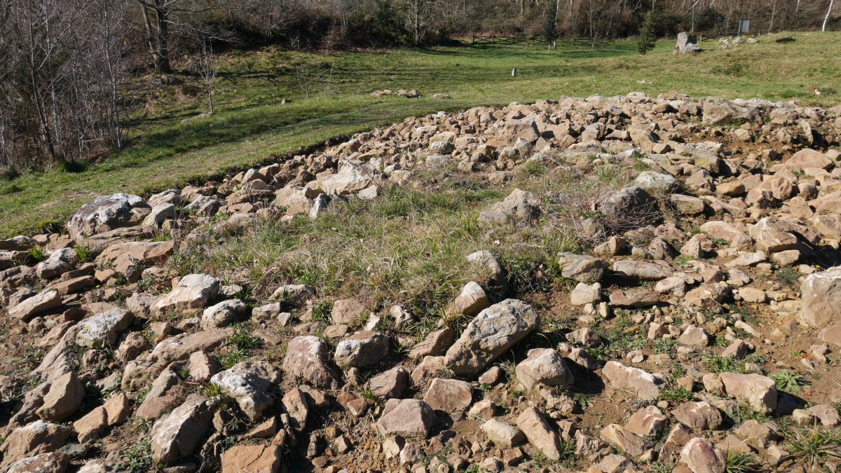 Berrozpin 4 trikuharria