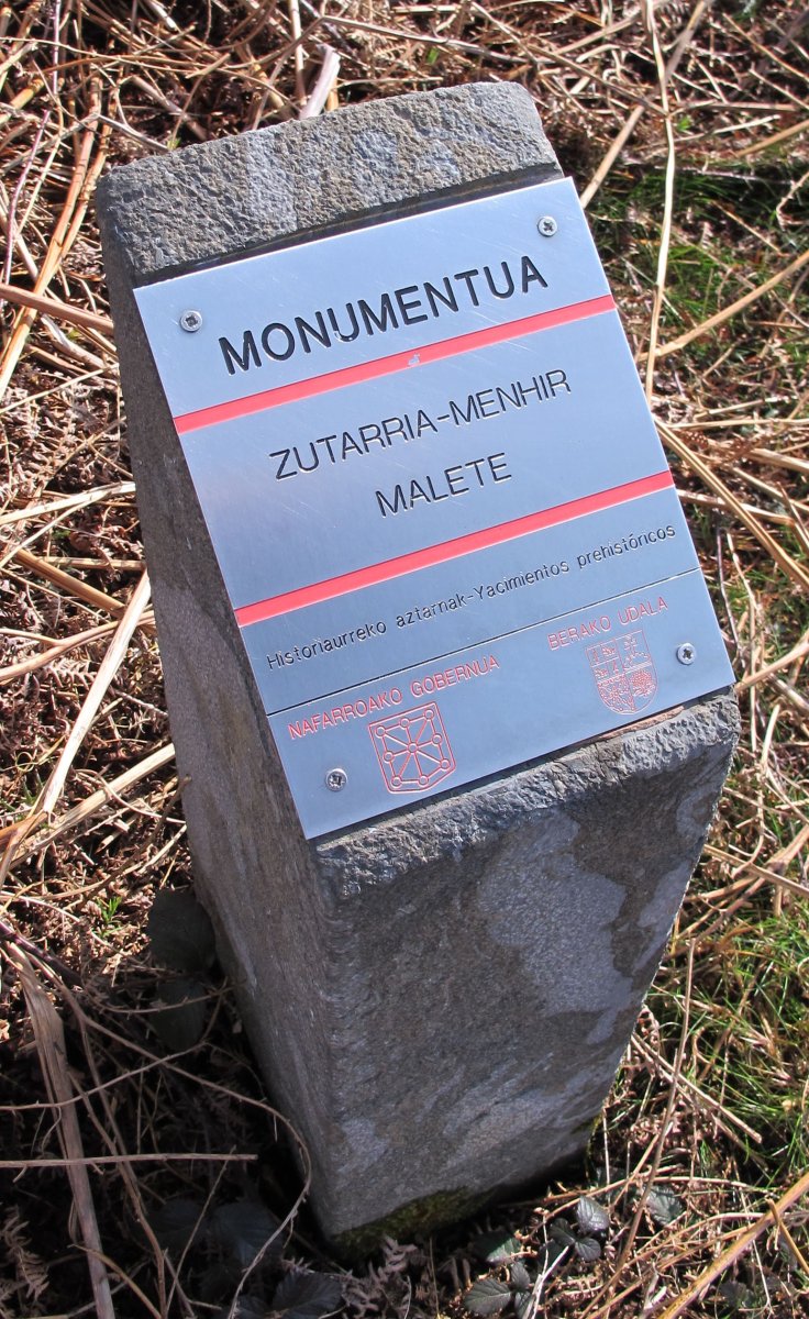Malete zutarria, Bera