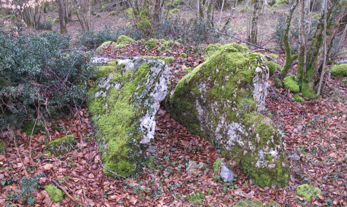 Pikabotz trikuharria, Oderitz-Larraun